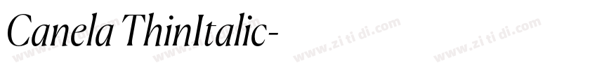 Canela ThinItalic字体转换